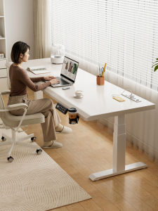 SAMEDREAM | Electric Lift Desk Wooden Computer Study Work Gaming