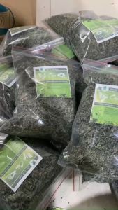 Lá Ngải Cứu Khô Nguyên Chất Giúp Thanh Nhiệt Tự Trồng 100% Sạch Không Thuốc