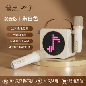 Puzhi Home KTV Kit Integrated Wireless Bluetooth Speaker Microphone Set for Singing Karaoke Dual Speaker Handheld ABS Material
