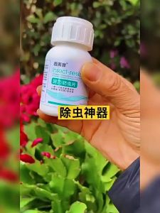 【200 Tablets】 Gardening Insect Resistant 园艺防虫片糖化硼肥片