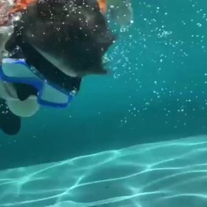 Diving Mask Snorkel Set For Adults Tempered Glass Professional Panoramic Scuba Snorkel Gear Swimming Training Snorkeling Kit