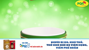 PQA phế quản người lớn hộp 250ml hỗ trợ thanh họng giúp hạn chế ho nhiều do viêm họng viêm phế quản.