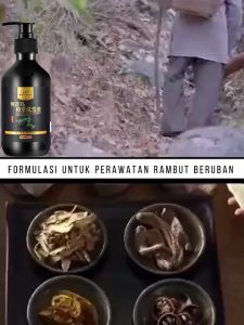 Shampoo Penghilang Uban Dan Ketombe 300ml Penghitam Rambut Beruban Permanen Herbal Natural Polygonum Multiflorum Anti Ketombe Anti