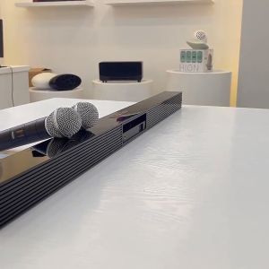 Karaoke TV Soundbar Bluetooth Speakers with Wireless Mic for TV Videoke Speaker Built-in Subwoofer for PC Cellphone