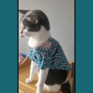 Pet Batik Shirt for Cats and Small Dogs Emerald Green Cotton Geometric Motives by Furry FInds Hub