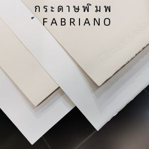 กระดาษพิมพ์ภาพ FABRIANO Rosaspina 60 ผ้าฝ้าย สีขาว ขอบหยาบ 220g 285g อุปกรณ์ศิลปะ วัสดุการวาดภาพ สมุดสเก็ตช์ภาพ