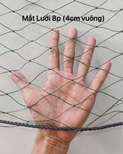 10m Lưới rào gà xanh rêu khổ cao 4m 3m 2m 1m Mắt lưới 8p lưới cào chỉ độ 9