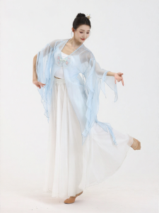 FULLBELIEF | Áo Nhảy Múa V-Neck Thêu Hoa Văn