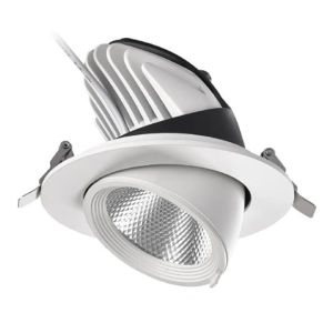 Dimmable LED Downlight Elephant Trunk Angle Adjustable Spotlight 10W 20W COB Ceiling Recessed for Supermarket Home Decor
