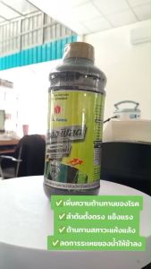 ปุ๋ยน้ำ สตรองฟิลด์ ซิลิกอนเข้มข้น30% เสริมแกร่งให้ผนังเซลล์พืช (ลำต้นแข็งแรง มีภูมิต้านทานโรคและแมลง) ขนาด 1 ลิตร ดวงตะวันเพชร