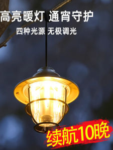 Đèn Trang Trí Ngoài Trời Cổ Điển Dùng Cho Trại Trại Lều Cắm Trại Sạc Lâu Bền Chống Thấm Nước Đèn LED Trong Suốt Đèn Phao