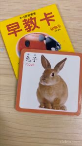 SG-Chinese Flash Cards for Beginner/ Mandarin Learning with Colourful Flash cards