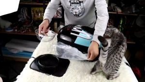 TRENY Pet Dog Cat Carrier Bag Travel Essentials Fashion Bag Foldable Portable Beg Kucing Besar 宠物 猫狗 出行包 外出包