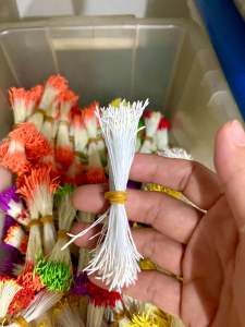 Nhuỵ cộng dài -nhuỵ mai ( 1 bó 6 tép nhỏ)