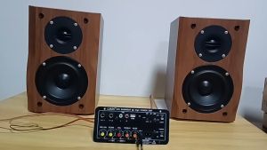 แอมป์จิ๋ว D1OC รุ่นอัพเกรด [รุ่นอัพเกรด] 900w 2ch 24v AC 220V 12V 24V