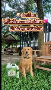 สเปรย์กันยุงตะไคร้หอมสูตรออร์แกนิค (สำหรับสัตว์เลี้ยง)  ขนาด 1 ลิตร