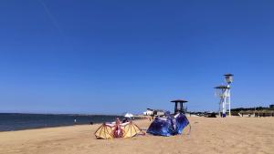 Dragon Kite for Adults Kids Kite Kite boyBeach Kite Large KiteKites for Kids Ages 8 12 Easy to Fly Kite for Beginners