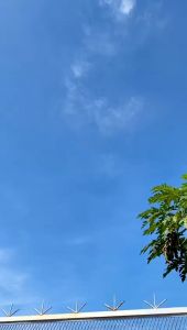 Paket Usaha 10Pcs Jilbab Instan Kerudung Bergo Hamidah Jersey Fatima Penguin Daily By Kalishaofficial