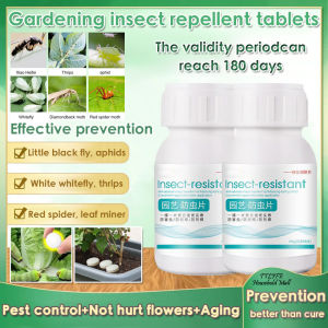 1 เม็ดเป็นเวลา 120วันปลูกเชื้อรา Dru-G 40กรัม (200เม็ด) ยาฆ่าแมลงการควบคุมเพลี้ยไฟควบคุมศัตรูพืช Dru-G พืชเชื้อรา Dru-G ยาฆ่าแมลงการควบคุมแมลงเพลี้ยอ่อนยาฆ่าแมลงจากพืชเฉพาะฆ่าแมลงไม่ทำลายพืชยาฆ่าแมลงเพลี้ย