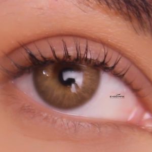 LensFine 🔥 COD เสริมความพึงพอใจของเลือดของเนื้อเยื่อ ที่สร้างสรรค์จากไทย 🔥 เลนส์ชนิดนิ่มพิเศษ 💙 OMG brown gray 💙 กรองแสง [สีฟ้าUV] Korean คอนแทคเลนส์สีซอฟต์ไลท์ที่น่ารัก",