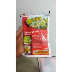 Pestisida Insektisida LANNATE 25WP - 100gram