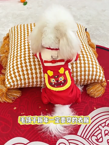 Jumsuit thu đông tết - áo quần gầm đầu lân 2026 cho chó mèo - T3 PETS SHOP