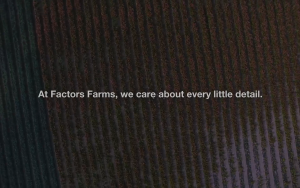 Natural Factors Immune Support Supplement - Vitamin K2 & D3 for Bone & Heart Health 60 Softgels