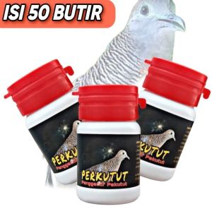 100 BUTIR JAMU PERKUTUT bahan biar cepat manggung rajin bunyi jamu anti stres perkutut bangkok lokal obat burung perkutut malas bunyi anti stres jamu raja herbal perkutut bangkok dan lokal rajin bunyi puter derkuku tikukur vitamin burung pakan burung sang