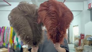 100PCS Large Champion Ostrich Feathers 45-50CM Ostrich Feathers for Wedding Party Table Centerpiece Decor DIY Handicrafts
