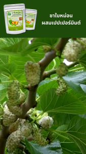 ชาใบหม่อนผสมเปปเปอร์มินต์ ตราไร่กฤติยา (Mulberry Peppermint Blended Leaf Tea)