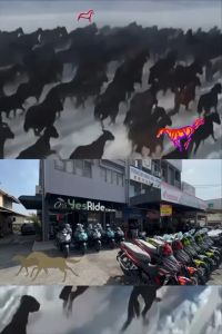 Honda Vario 160 SE Matt Black