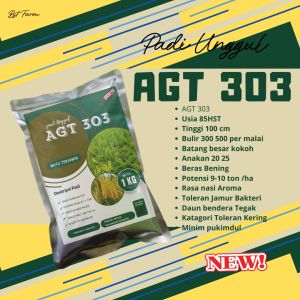 Benih padi Agt 303 Kemasan 1 kg Kualitas Unggul Original