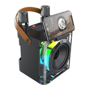 Subwoofer Music Player with Dual Microphones High Power Karaoke Machine Music Rhythm Light for Home Gathering Party