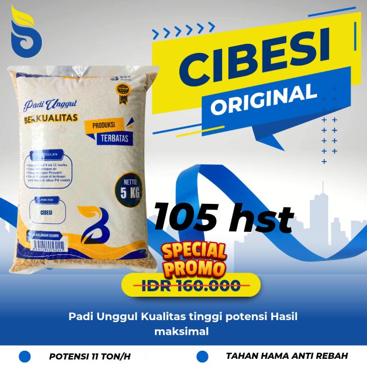 Benih padi Galur Cibesi Galur unggul CIBEUSI 5kg