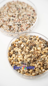 Chihiros Gravel Substrate Aquarium