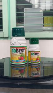 Zat Pengatur Tumbuh Tanaman GOBEST 250 SC dari PT PETROKIMIA KAYAKU