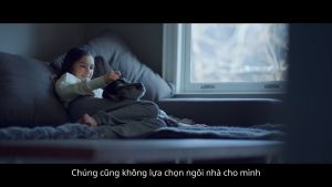 Thức ăn hạt cho mèo Nutrience Infusion Adult Indoor cho mèo trưởng thành - Cá biển thịt gà và rau củ trái cây tự nhiên