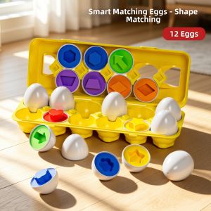 WANJUTEGONGDUI | Educational Matching Intelligence Toy