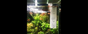 4 in 1 Aquarium Fish Tank Filter with Oxygen 6W/15W/23W Aquarium Filter Water Pump Submersible Air Oxygen Increase Wave Maker Built-in Circulation Filtration Air Pump for Fish Tank YoQi
