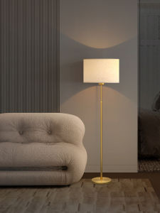 ZHENMEIJU | Bronze Modern Simple Floor Lamp