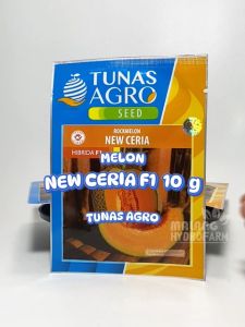 Benih Melon Orange New Ceria F1 10 gram Tunas Agro bibit biji buah merlin oren manis hidroponik hydroponik