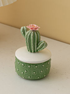 FENGBAI | Creative Ceramic Cactus Jewelry Box