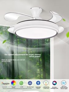 Chigo | Ceiling Fan Light 1 Piece