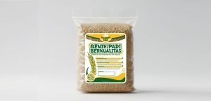 BENIH PADI MR 337 | 5KG | 1KG | BIBIT SUPER GENJAH PREMIUM | COD