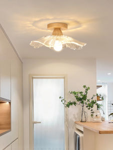 DGY | Multi-Scenes Modern Minimalist Ceiling Light