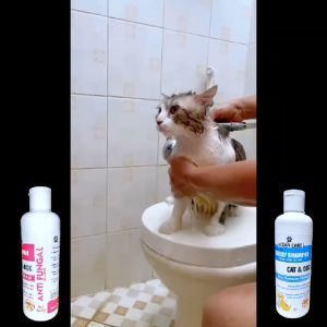 OCEAN CARE SHAMPOO KUCING ANJING LEMBUT ANTI RONTOK BULU BERMINYAK DAN KOTOR BEBAS JAMUR