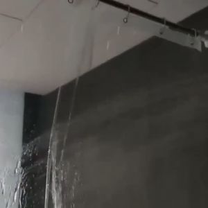 WORST Home Decor Mildewproof Transparent Shower Curtain Water Splash Resistant Bath Supplies PEVA Plastic[Ready stock]