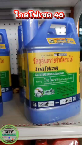 กำจัดหญ้าทุกชนิด ใบแคบ ใบกว้าง แรง เร็ว ตายถึงราก สูตรทนฝน ส่งฟรี