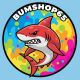 Bumshop65