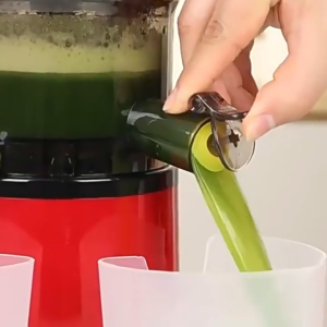 เครื่องสกัดน้ำผลไม้แยกกาก เครื่องทำน้ำผลไม้ เครื่องสกัดเย็น 800W